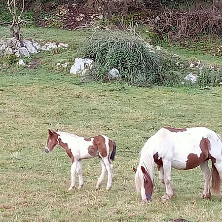 Casa Con Jardin Cerca De Playas De