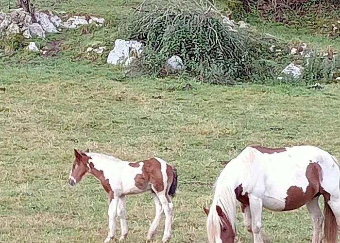 Casa Con Jardin Cerca De Playas De